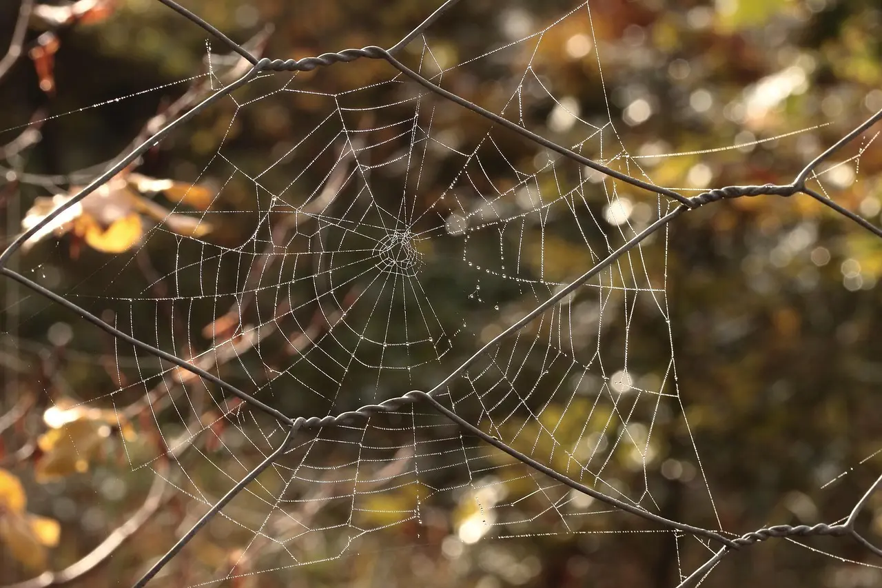 Hvordan undgår jeg, at min vaskepose går i stykker under brug?